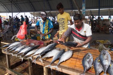 Negombo balık pazarında balık satıcıları, Sri Lanka