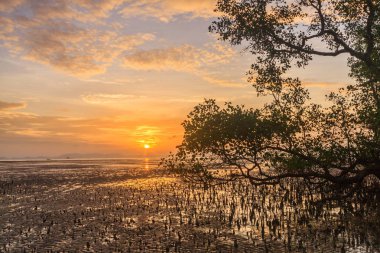 Çamur düzlüklerinin üzerinde şafak 