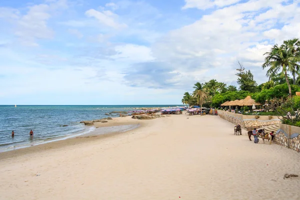 Konie i pływacy na plaży, — Zdjęcie stockowe