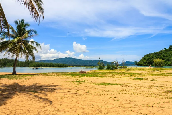 Palm trees on Nai Yang beach — Stock Photo, Image