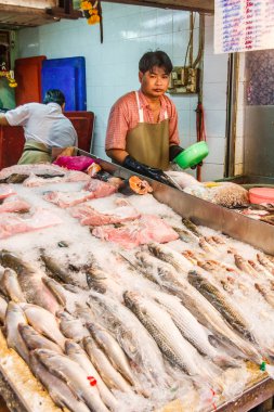 Balıkçı tezgahındaki balıklar. 