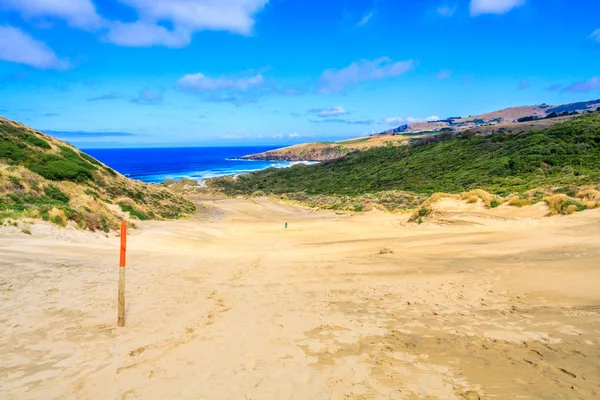Sanddynerna vid Sandfly Bay — Stockfoto
