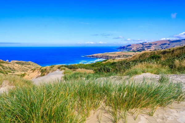 Піщані дюни на Sandfly Bay — стокове фото