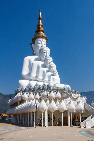 Cinco estatuas blancas de Buda — Foto de Stock