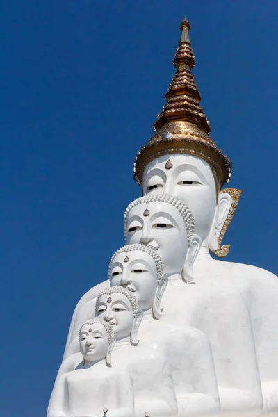 Cinque statue di Buddha bianco — Foto Stock