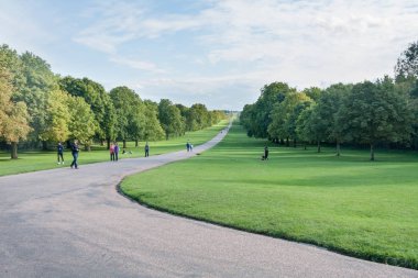 Windsor Great Park'a giden yol, Berkshire, Londra, İngiltere, Uni
