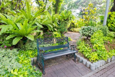 Park bank Lumphini Park yeşil bitkiler ve eğrelti otları ile çevrili