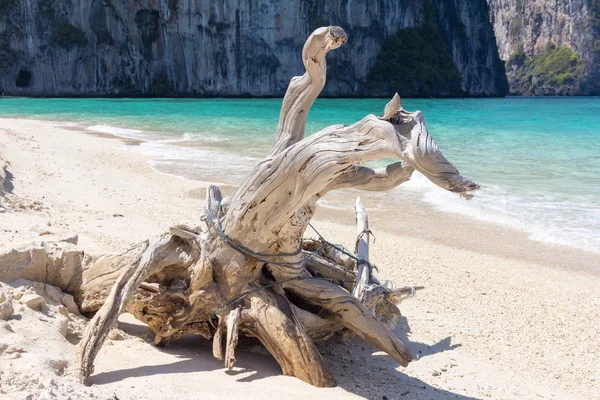 ラオスリアン島のビーチで流木, チャン, タイ — ストック写真
