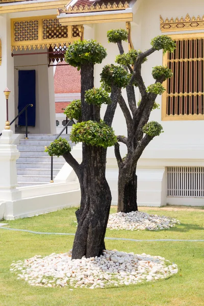Árvores polarizadas em Wat Thep Sirin, Thrawat — Fotografia de Stock
