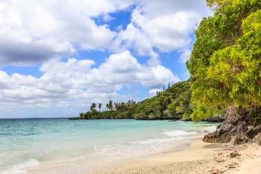 Easo plajı, Lifou, Yeni Kaledonya, Güney Pasifik