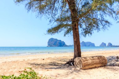 Ağaç ve Rajayangala plaj oturum 