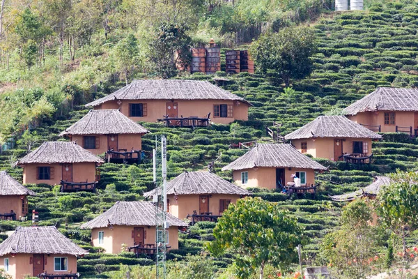 Casas e chá lantation em uma encosta no Kuomintang chinês Fotos De Bancos De Imagens