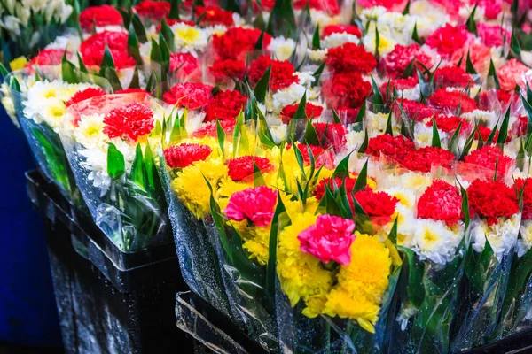 Carnation és krizantém virágok — Stock Fotó