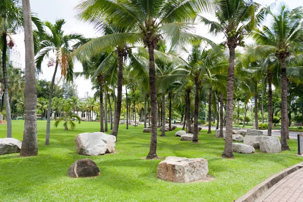 Coqueiros e rochas n Lumphini park, Bangkok, Tailândia — Fotografia de Stock