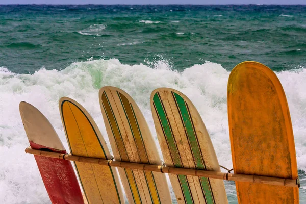 Surfbrädor för uthyrning — Stockfoto