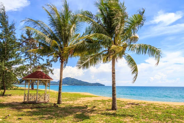 Ipomoea Pes Caprae Även Känd Som Bayhops Beach Morning Glory — Stockfoto