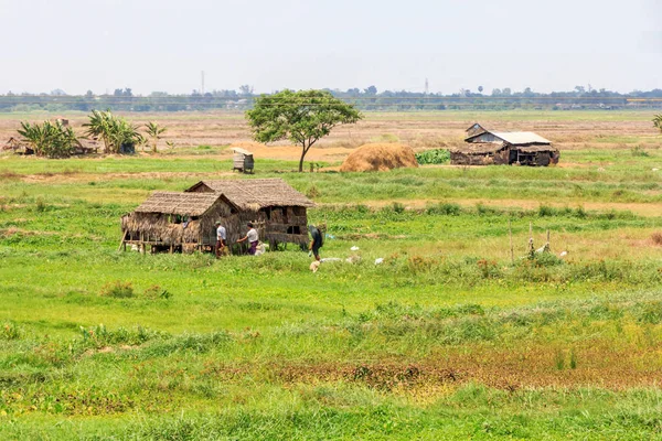 Typical farming landscape — Stock Photo, Image