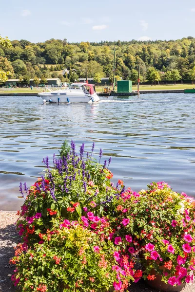 Flowers on the river Thames bank — 스톡 사진