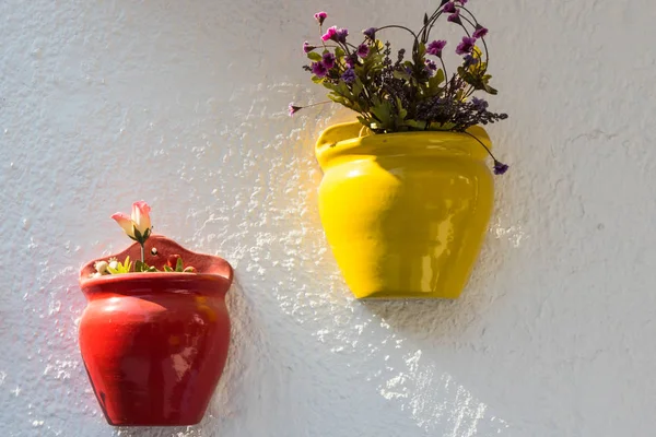 Colourful plant pots — Stock Photo, Image