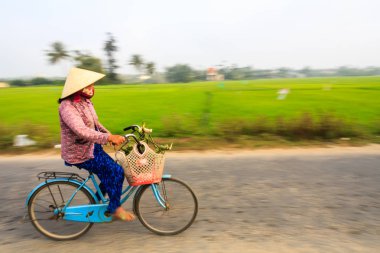 Pirinç tarlalarında bisiklet süren bir kadın..