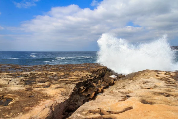 Wellen stürzen vor der Küste Sydneys über Felsen — Stockfoto