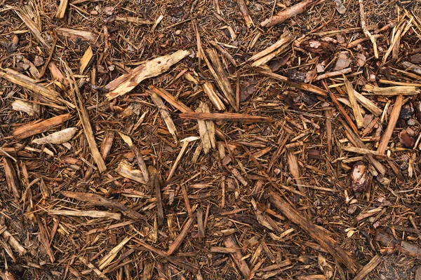 Trucioli di corteccia, pacciame su terreno forestale — Foto Stock