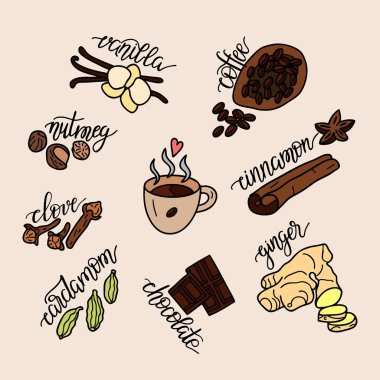 Kahve için baharatlar. Lezzetli meşrubat ve katkı maddesi ile Doodle vektör illüstrasyon. Elle çizilmiş illüstrasyon. 