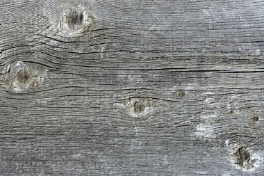 Düğümlü çok eski bir tahta, doğal arkaplan