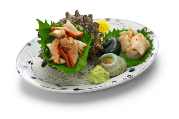 Sazae Coquille Turban Cornu Sashimi Plat Traditionnel Japonais Fruits Mer — Photo