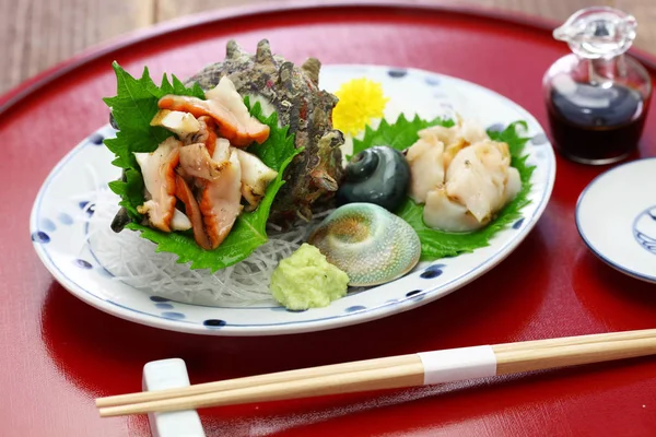 Sazae Guscio Turbante Cornuto Sashimi Piatto Tradizionale Giapponese Base Pesce — Foto Stock