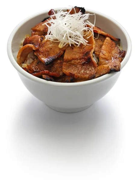 Teriyaki Pork Rice Bowl Butadon Japanese Food — Stock Photo, Image