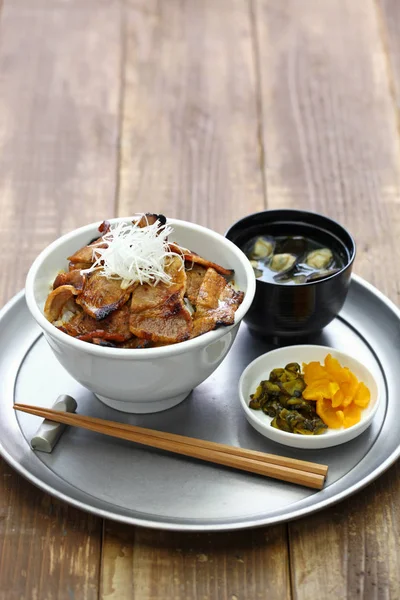 Teriyaki Domuz Eti Pilav Kasesi Butadon Japon Yemekleri — Stok fotoğraf