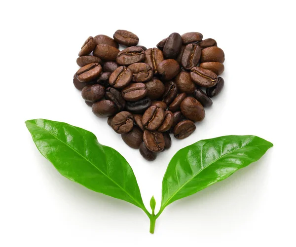 Coração Forma Grãos Café Torrados Folhas Imagem Conceito Comércio Justo — Fotografia de Stock