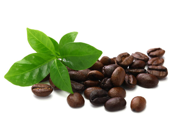 scattered roasted coffee beans and leaves on white  background