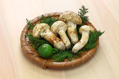 ahşap arka plan üzerinde izole matsutake mantar, Japon gıda