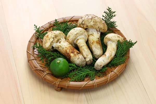 Matsutake Cogumelo Comida Japonesa Isolada Fundo Madeira — Fotografia de Stock