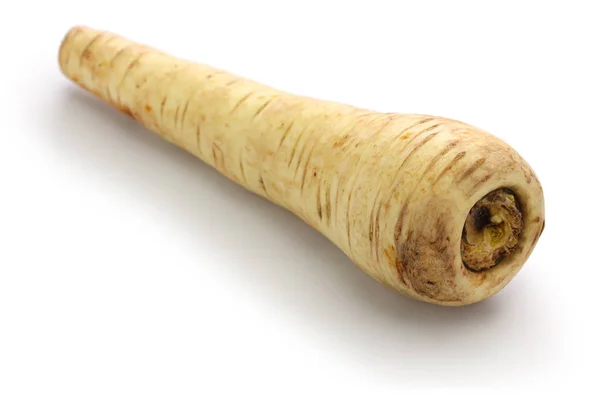 Parsnip Isolado Fundo Branco — Fotografia de Stock