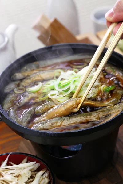 Dojo Nabe Dojo Loach Horká Lázeň Japonské Tradiční Jídlo — Stock fotografie