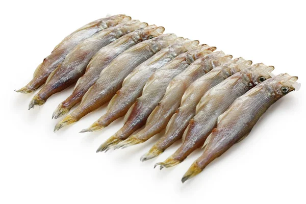 Shishamo Japanese Smelt Roe — Stock Photo, Image