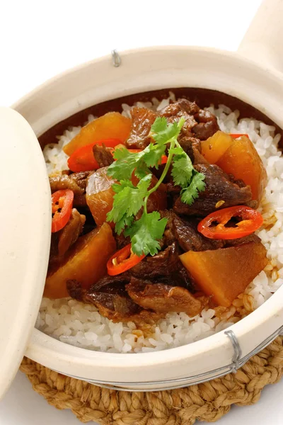 牛肉和达康萝卜与米饭在泥锅 广东食品 — 图库照片