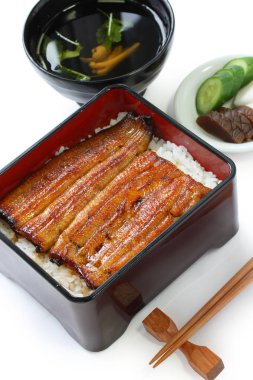 pirinç, unaju, Japon unagi mutfağı kızarmış yılan balığı