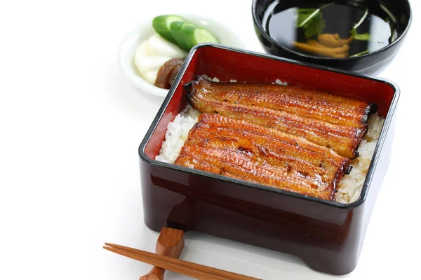 Anguila Asada Sobre Arroz Unaju Cocina Japonesa Unagi —  Fotos de Stock