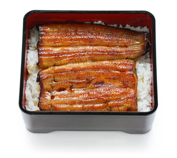 Broiled Eel Rice Unaju Japanese Unagi Cuisine — Stock Photo, Image