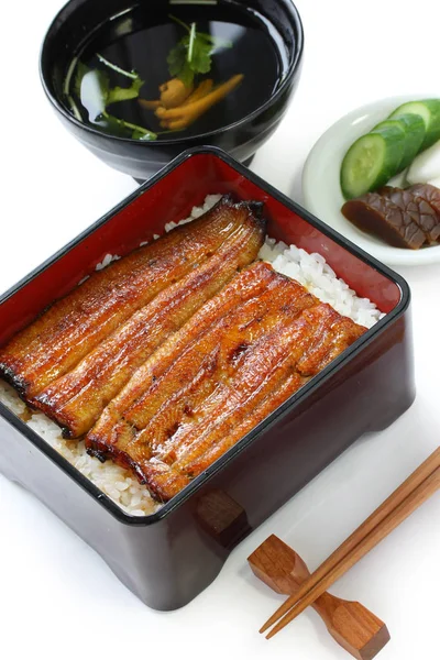 Roštu Úhoře Rýži Unaju Unagi Úhoř Japonské Kuchyně — Stock fotografie