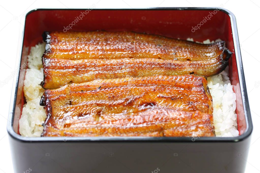 broiled eel on rice,unaju, japanese unagi cuisine