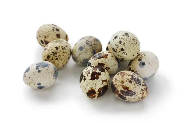 Quail Eggs Isolated White Background — Stock Photo, Image