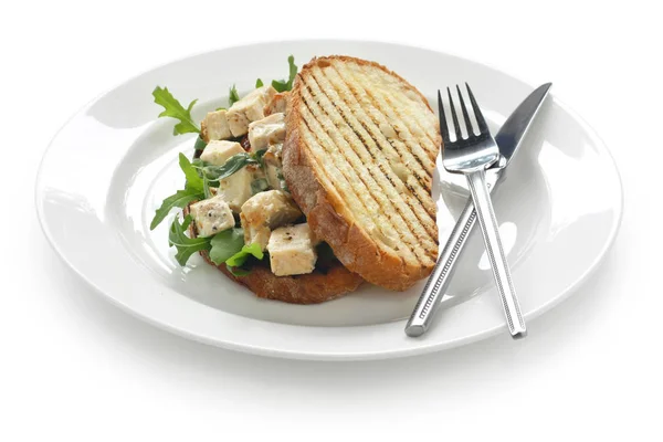 Homemade Chicken Panini Italian Flatbread Sandwich Isolated White Background — Stock Photo, Image