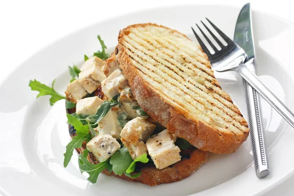 Panini Met Huisgemaakte Kip Italiaans Flatbread Sandwich Geïsoleerd Witte Achtergrond — Stockfoto