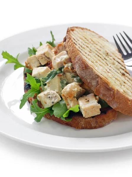 Homemade Chicken Panini Italian Flatbread Sandwich Isolated White Background — Stock Photo, Image