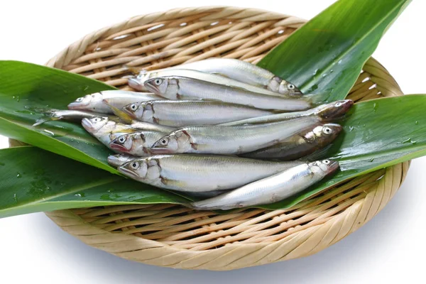 Chi Ayu Ikan Manis Muda Makanan Jepang — Stok Foto